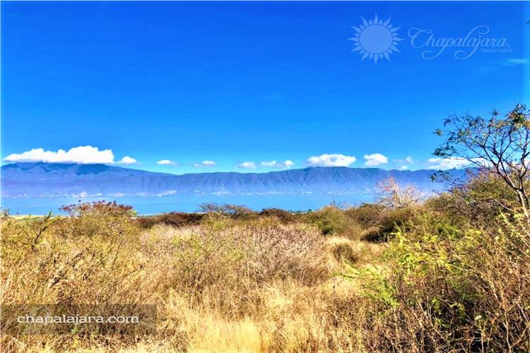 Point South MLS El Sauz Views