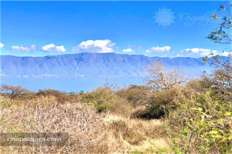 Point South MLS El Sauz Views