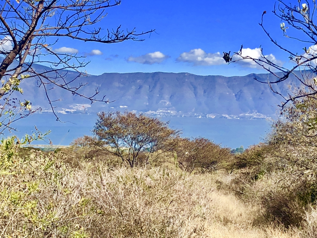 Point South MLS El Sauz